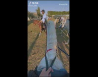 Guy rides white horse by lake water