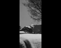 Skeleton strapped with chain at car top