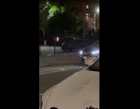 Pollen storm seen flying around the road