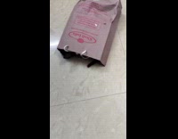 Cat hiding inside paper bag