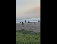 Guy flex body pull transparent shirt beach