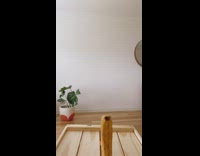 Woman turns family into objects 