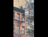 Two men pull exhaust vent on roof