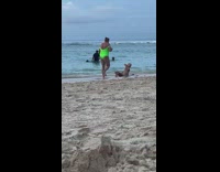 Woman in bikini lie down on the beach shore