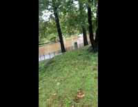 Collab Subway Creatures - Three cars got stranded at flooded park