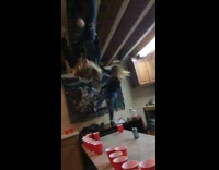 Collab BitchIG2 - Woman breaks table in half