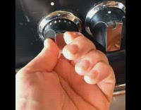 Dog eats small mini pizza party