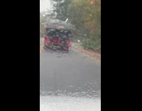 Raccoon riding on dumpster truck  