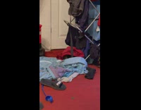 Pug Peeps its Head from Under Bag 