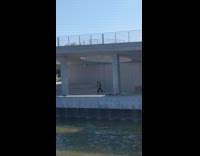 Man wears a Michael Jackson costume dances at the river park