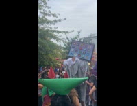 Luddites chanting free the baby from ipad 