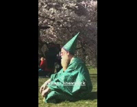 Old man dresses up in a green wizard costume and sits criss cross on grass at the park