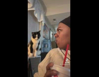 Cat watching woman drink her soda 