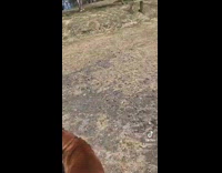 Person out on walk finds positive pregnancy test 