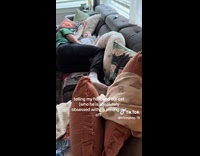 Woman tells husband that cat pisses her off