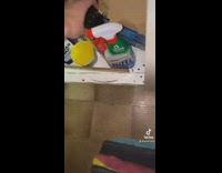 Woman cries while trying to kill big spider 