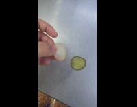 Man compares slices of fresh and soaked sour pickles