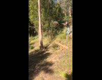 Tree swing handle broke guy fall down