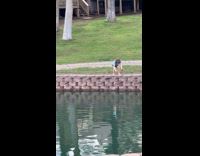 Kid catches fish slips from hand and escapes 