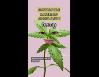 Teen Shoves Asleep Mans Arm on Armrest