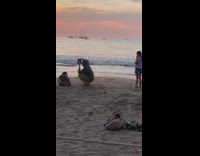 Beach sunset waves boat tourist take pictures