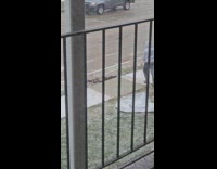 Construction worker poured sidewalk concrete while snowing