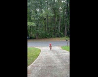 Young boy red helmet run to the street