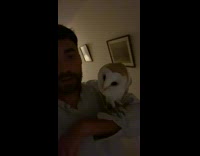 Guy had a few drinks with owl on his arm walking