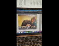 Cat held down by owner during meeting wants food