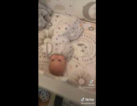 Baby wakes up with all smiles in the morning 