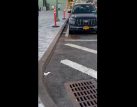 Street manhole cover gets lifted by wind