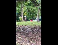 Woman leans on tree twerks at park
