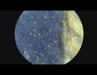 One Hundred Dollar Bill under a microscope