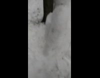 Among us imposter snowman stabs other snowman 