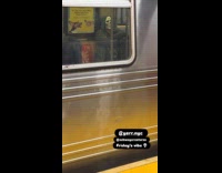 Person wears skeleton mask on train ride