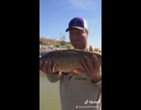 Guy throws fish back into  water and hits a rock instead