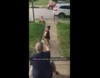 Grandpa dad photographs little girl kid dog