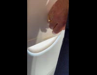 Bee Behind Airplane Window Flies Toward Man