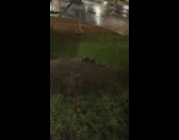 Man Falls off Bike and Rolls Downhill