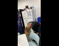 Guy dressed as Dora the Explorer Hola soy dora