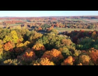 Drone shot of Fall colors in Michigan 