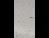 Hairpin on subway train floor stand up 