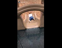 Baby slides head first down slides and scorpions on the ground at playground
