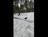 Guy scorpions and scrapes face after landing sled