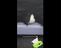 Guy rides train ripped pants white underwear