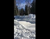 Yellow dune buggy guy backflip green skis