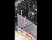 Woman pink top dances near hockey arena