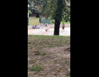 Collab IITW - Group with fairy wings dances at park