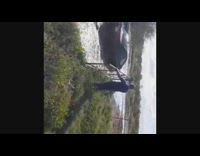 Small black car drives through huge puddle 