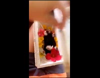 BitchMP - Girl puts dead hamster in box and buries it 